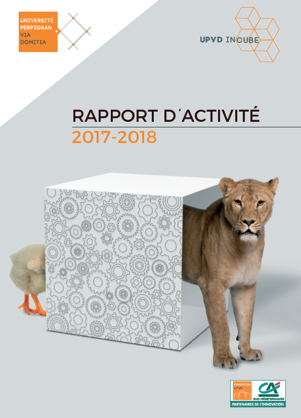 Rapport activité