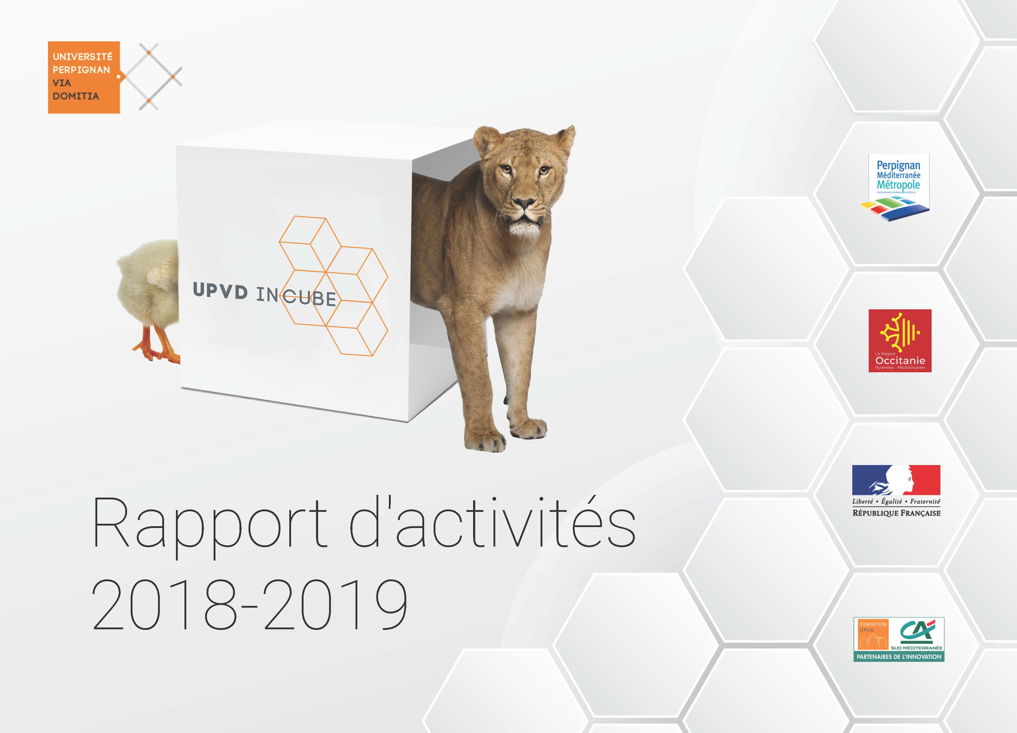 Rapport dactivits 2018 2019 UPVD IN CUBE Page 01